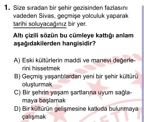 9, 10, 11. Sınıf Türk Dili ve Edebiyatı 2024 İOKBS Bursluluk Sınavı 1. Soru görseli