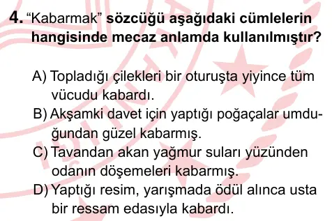 9, 10, 11. Sınıf Türk Dili ve Edebiyatı 2024 İOKBS Bursluluk Sınavı 4. Soru görseli