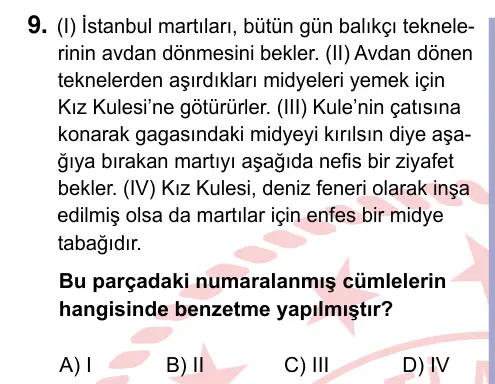 9, 10, 11. Sınıf Türk Dili ve Edebiyatı 2024 İOKBS Bursluluk Sınavı 9. Soru görseli