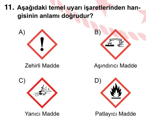 9, 10, 11. Sınıf Fen Bilimleri 2024 İOKBS Bursluluk Sınavı 11. Soru görseli