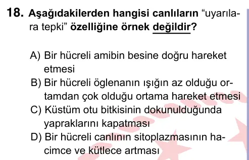9, 10, 11. Sınıf Fen Bilimleri 2024 İOKBS Bursluluk Sınavı 18. Soru görseli