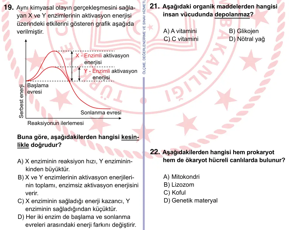 9, 10, 11. Sınıf Fen Bilimleri 2024 İOKBS Bursluluk Sınavı 19. Soru görseli
