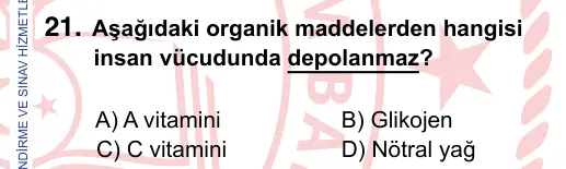 9, 10, 11. Sınıf Fen Bilimleri 2024 İOKBS Bursluluk Sınavı 21. Soru görseli