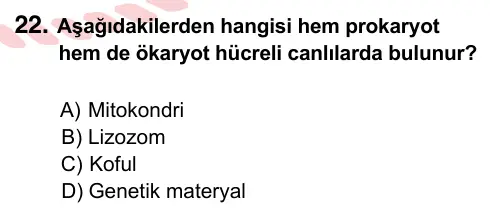 9, 10, 11. Sınıf Fen Bilimleri 2024 İOKBS Bursluluk Sınavı 22. Soru görseli