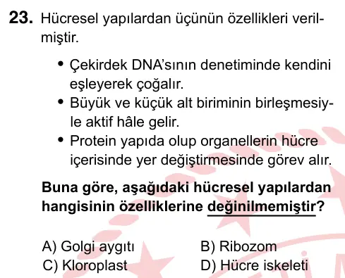 9, 10, 11. Sınıf Fen Bilimleri 2024 İOKBS Bursluluk Sınavı 23. Soru görseli