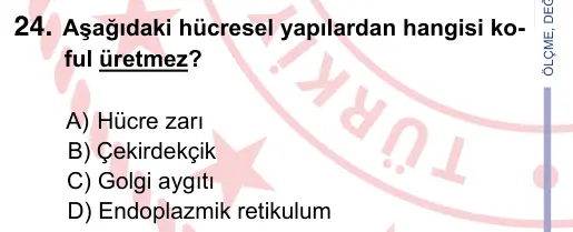 9, 10, 11. Sınıf Fen Bilimleri 2024 İOKBS Bursluluk Sınavı 24. Soru görseli