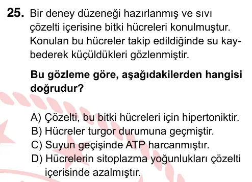 9, 10, 11. Sınıf Fen Bilimleri 2024 İOKBS Bursluluk Sınavı 25. Soru görseli