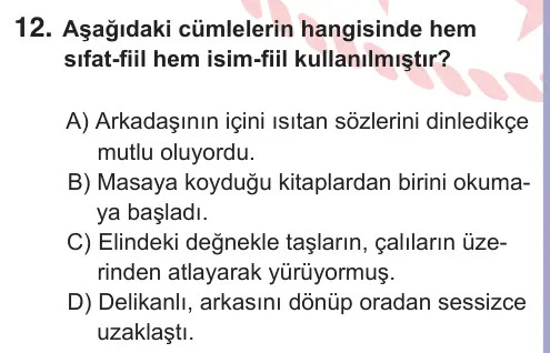 10, 11. Sınıf Türk Dili ve Edebiyatı 2025 İOKBS Bursluluk Sınavı 12. Soru görseli