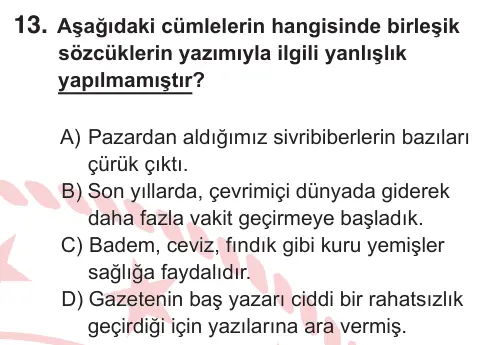 10, 11. Sınıf Türk Dili ve Edebiyatı 2025 İOKBS Bursluluk Sınavı 13. Soru görseli