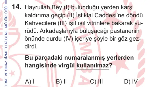 10, 11. Sınıf Türk Dili ve Edebiyatı 2025 İOKBS Bursluluk Sınavı 14. Soru görseli