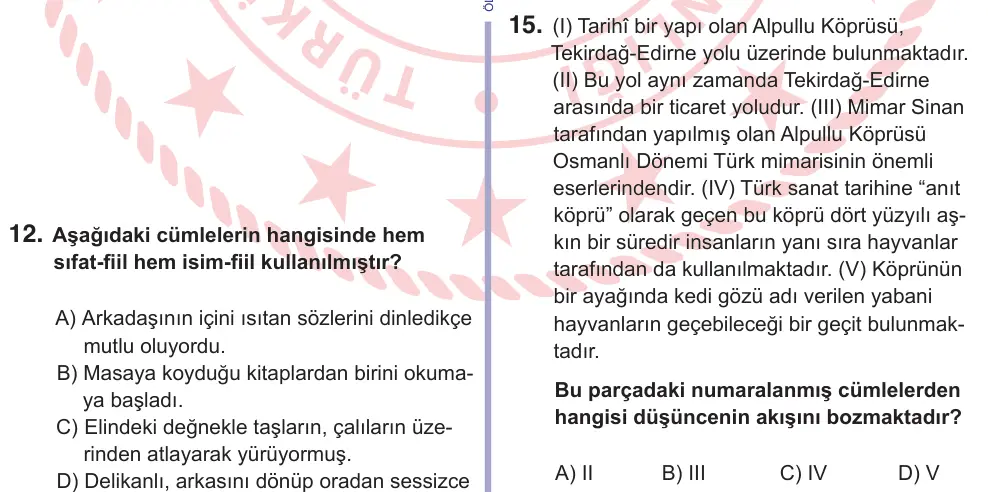 10, 11. Sınıf Türk Dili ve Edebiyatı 2025 İOKBS Bursluluk Sınavı 15. Soru görseli