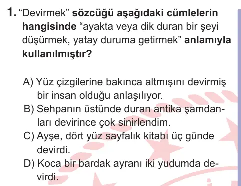 10, 11. Sınıf Türk Dili ve Edebiyatı 2025 İOKBS Bursluluk Sınavı 1. Soru görseli
