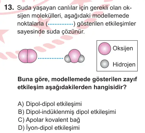 10, 11. Sınıf Fen Bilimleri 2025 İOKBS Bursluluk Sınavı 13. Soru görseli