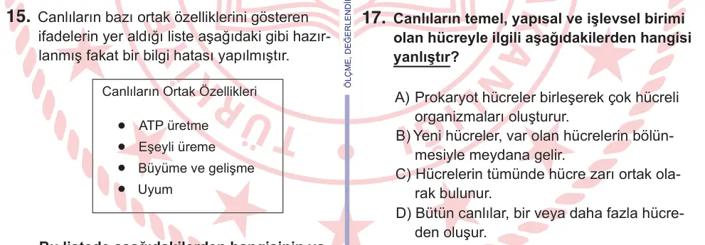 10, 11. Sınıf Fen Bilimleri 2025 İOKBS Bursluluk Sınavı 17. Soru görseli