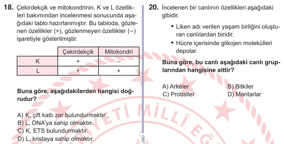 10, 11. Sınıf Fen Bilimleri 2025 İOKBS Bursluluk Sınavı 18. Soru görseli