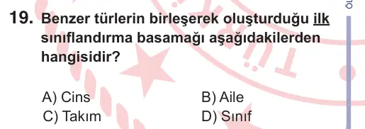 10, 11. Sınıf Fen Bilimleri 2025 İOKBS Bursluluk Sınavı 19. Soru görseli