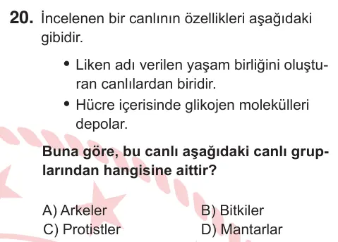 10, 11. Sınıf Fen Bilimleri 2025 İOKBS Bursluluk Sınavı 20. Soru görseli