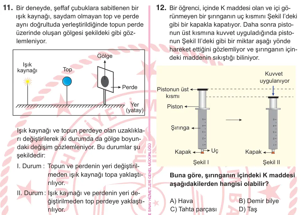 5. Sınıf Fen Bilimleri 2025 İOKBS Bursluluk Sınavı 12. Soru görseli