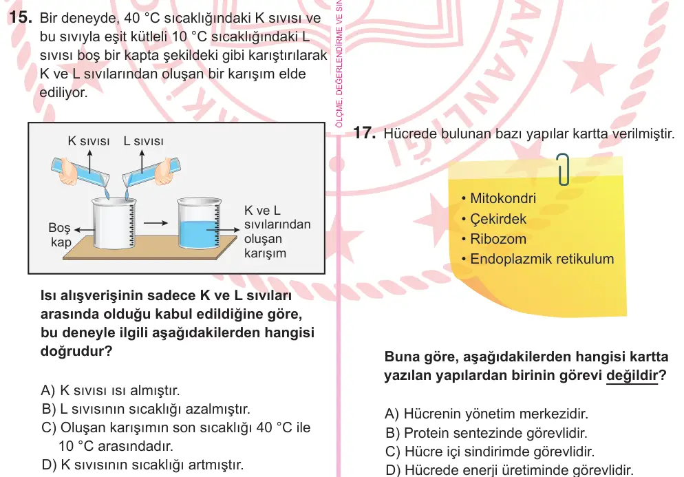 5. Sınıf Fen Bilimleri 2025 İOKBS Bursluluk Sınavı 15. Soru görseli