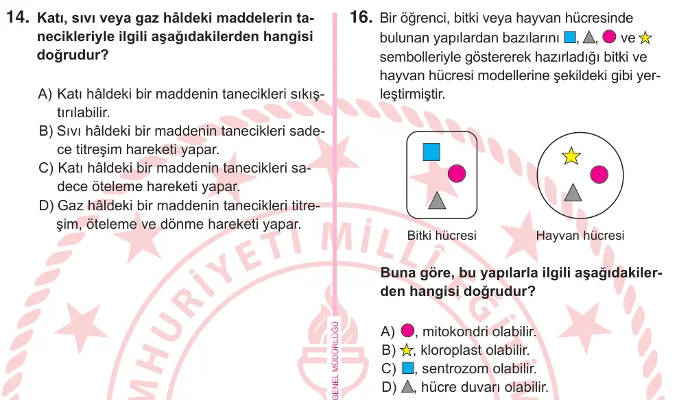 5. Sınıf Fen Bilimleri 2025 İOKBS Bursluluk Sınavı 16. Soru görseli