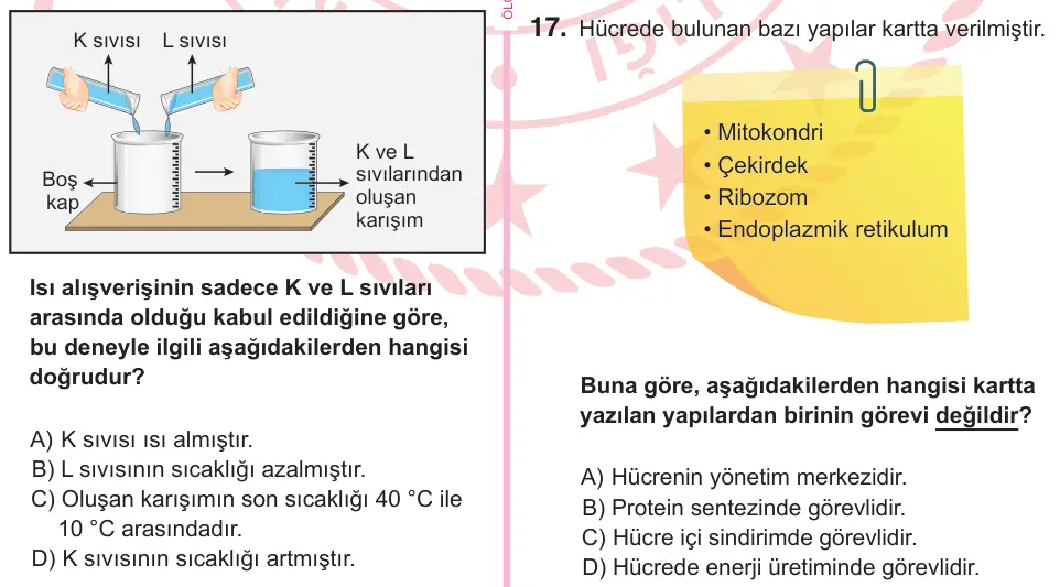 5. Sınıf Fen Bilimleri 2025 İOKBS Bursluluk Sınavı 17. Soru görseli