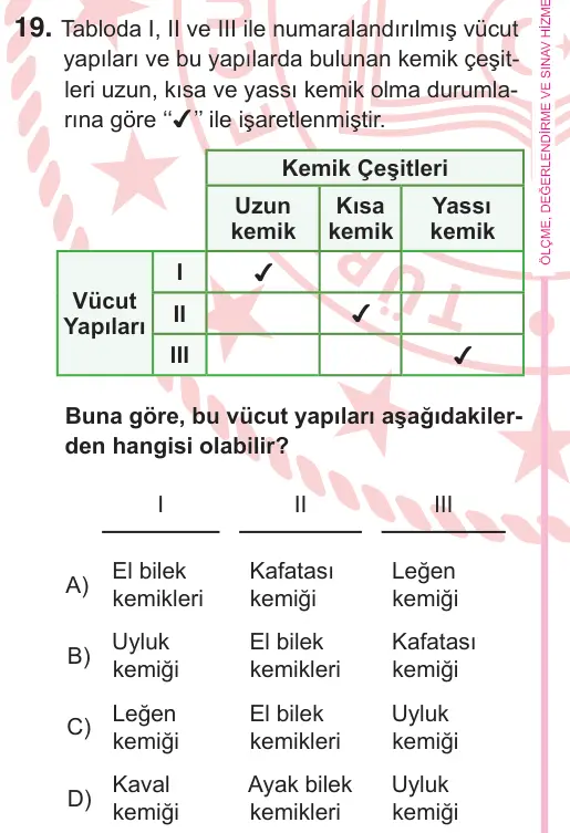 5. Sınıf Fen Bilimleri 2025 İOKBS Bursluluk Sınavı 19. Soru görseli