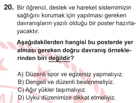 5. Sınıf Fen Bilimleri 2025 İOKBS Bursluluk Sınavı 20. Soru görseli