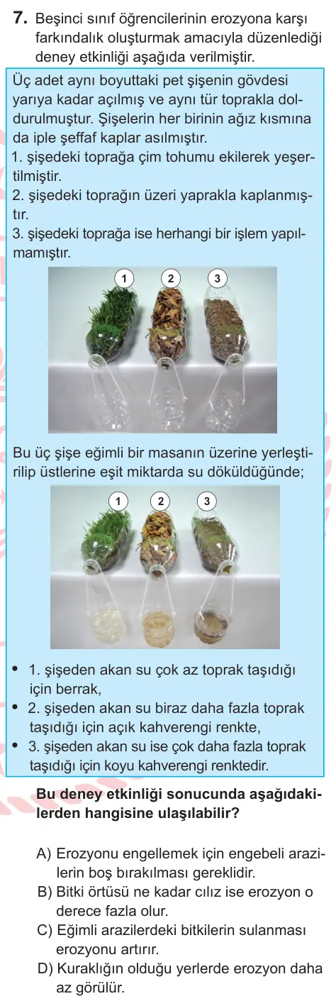 5. Sınıf Sosyal Bilgiler 2025 İOKBS Bursluluk Sınavı 7. Soru görseli