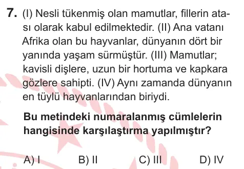 5. Sınıf Türkçe 2025 İOKBS Bursluluk Sınavı 7. Soru görseli