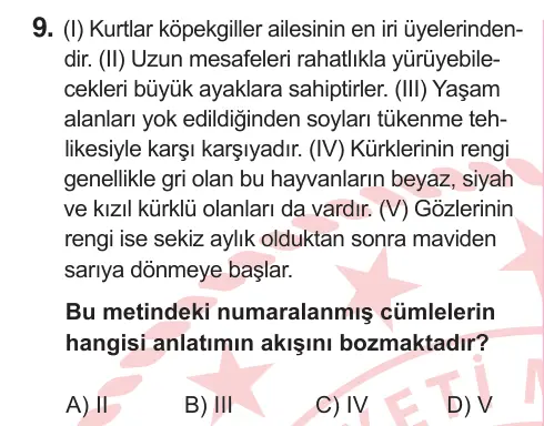 5. Sınıf Türkçe 2025 İOKBS Bursluluk Sınavı 9. Soru görseli