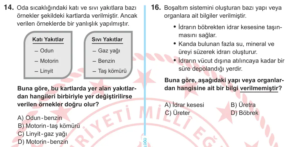 6. Sınıf Fen Bilimleri 2025 İOKBS Bursluluk Sınavı 14. Soru görseli