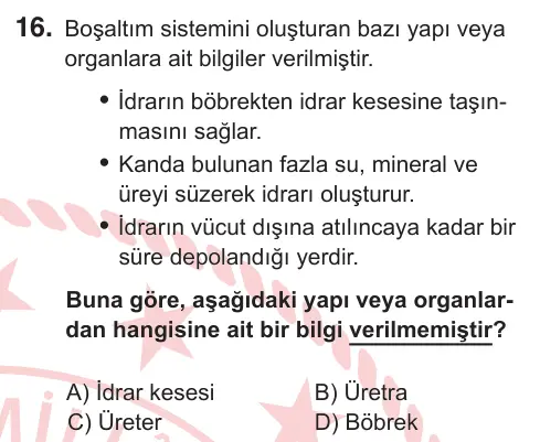 6. Sınıf Fen Bilimleri 2025 İOKBS Bursluluk Sınavı 16. Soru görseli