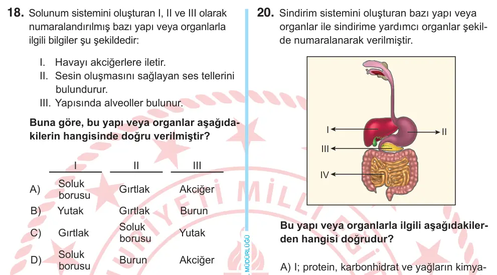6. Sınıf Fen Bilimleri 2025 İOKBS Bursluluk Sınavı 18. Soru görseli