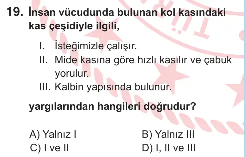 6. Sınıf Fen Bilimleri 2025 İOKBS Bursluluk Sınavı 19. Soru görseli