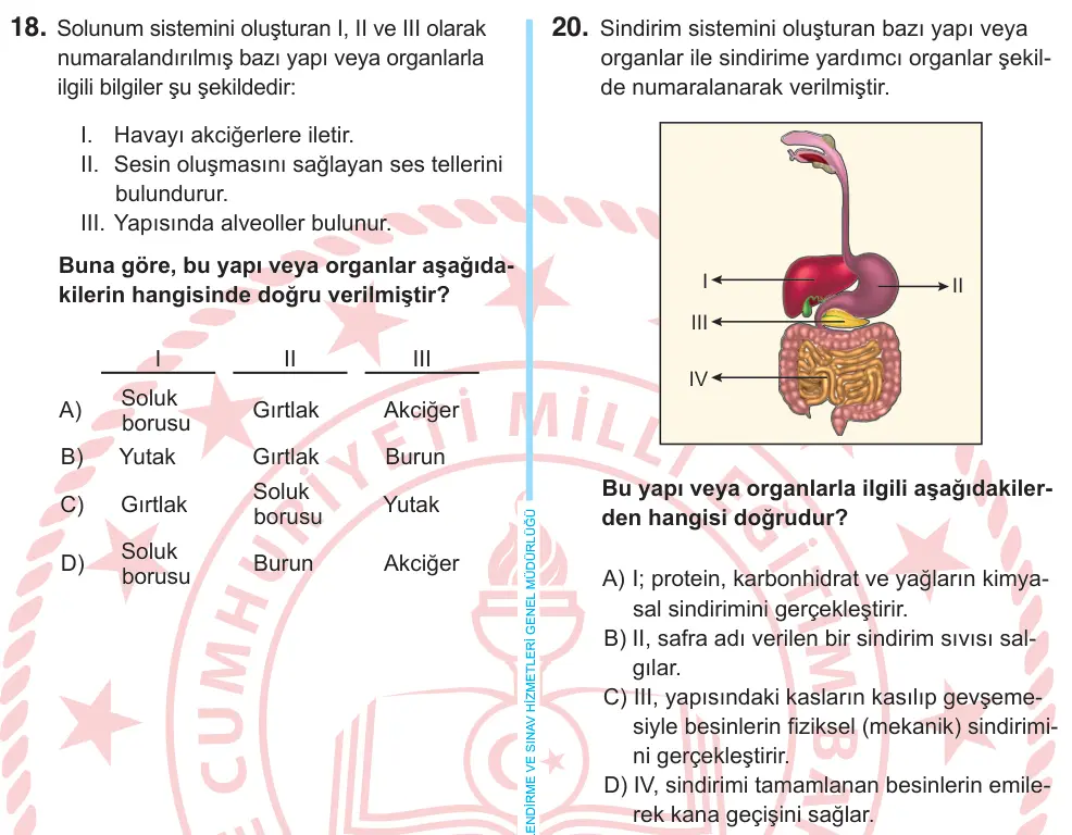 6. Sınıf Fen Bilimleri 2025 İOKBS Bursluluk Sınavı 20. Soru görseli