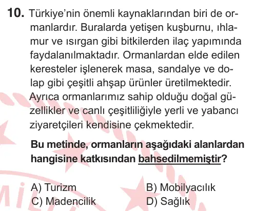 6. Sınıf Sosyal Bilgiler 2025 İOKBS Bursluluk Sınavı 10. Soru görseli
