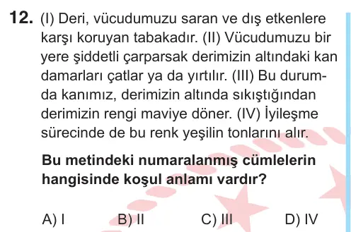 6. Sınıf Türkçe 2025 İOKBS Bursluluk Sınavı 12. Soru görseli