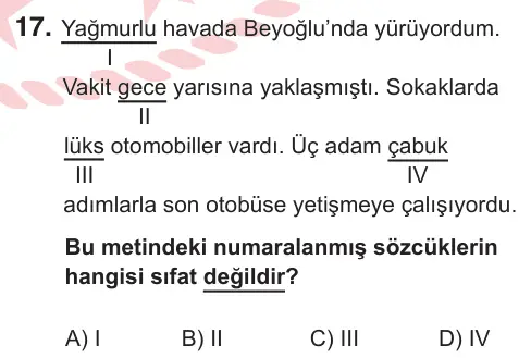 6. Sınıf Türkçe 2025 İOKBS Bursluluk Sınavı 17. Soru görseli