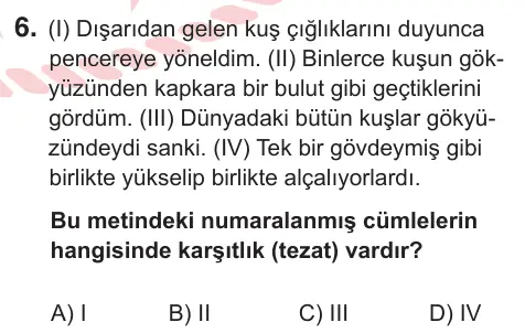 6. Sınıf Türkçe 2025 İOKBS Bursluluk Sınavı 6. Soru görseli