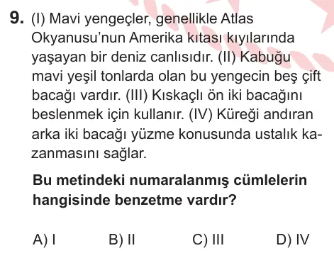 6. Sınıf Türkçe 2025 İOKBS Bursluluk Sınavı 9. Soru görseli