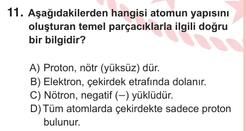 7. Sınıf Fen Bilimleri 2025 İOKBS Bursluluk Sınavı 11. Soru görseli