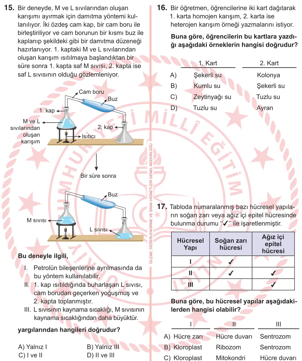 7. Sınıf Fen Bilimleri 2025 İOKBS Bursluluk Sınavı 15. Soru görseli