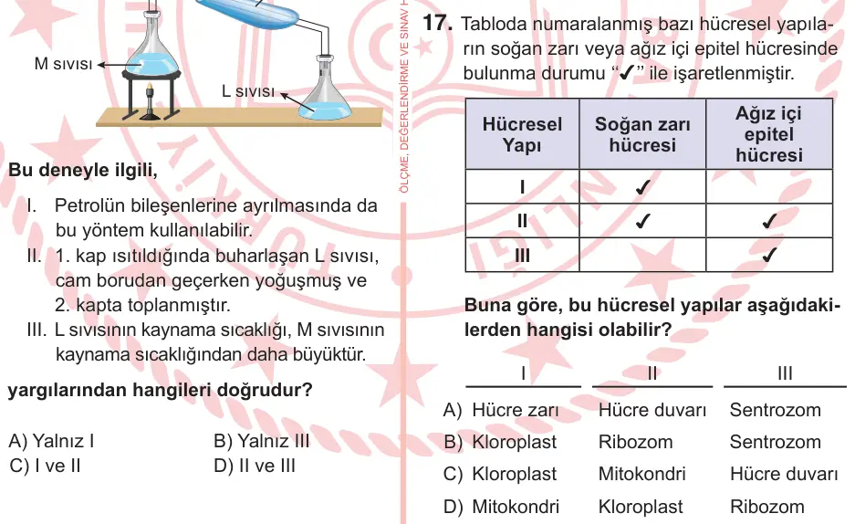 7. Sınıf Fen Bilimleri 2025 İOKBS Bursluluk Sınavı 17. Soru görseli