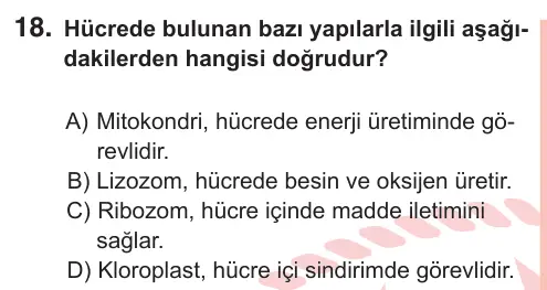 7. Sınıf Fen Bilimleri 2025 İOKBS Bursluluk Sınavı 18. Soru görseli