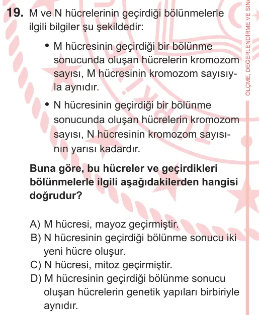 7. Sınıf Fen Bilimleri 2025 İOKBS Bursluluk Sınavı 19. Soru görseli