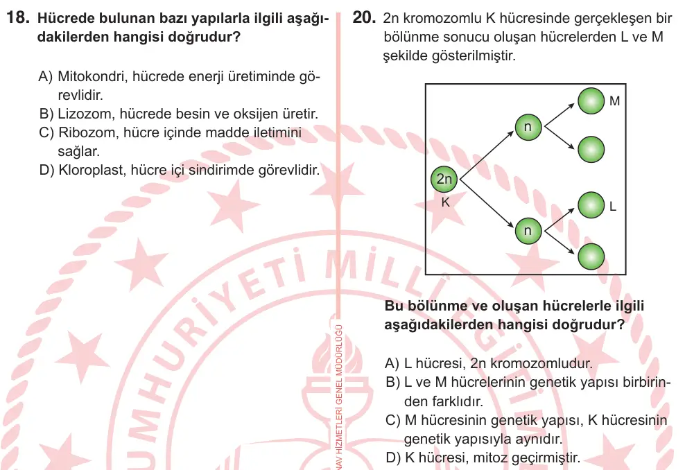 7. Sınıf Fen Bilimleri 2025 İOKBS Bursluluk Sınavı 20. Soru görseli