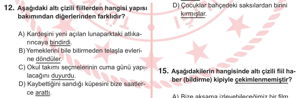 7. Sınıf Türkçe 2025 İOKBS Bursluluk Sınavı 12. Soru görseli