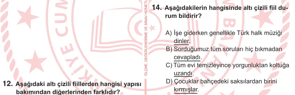 7. Sınıf Türkçe 2025 İOKBS Bursluluk Sınavı 14. Soru görseli