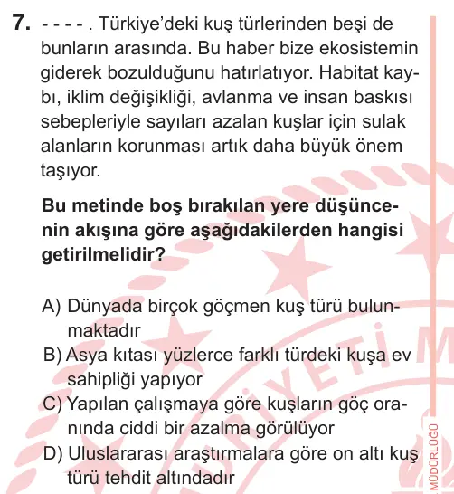 7. Sınıf Türkçe 2025 İOKBS Bursluluk Sınavı 7. Soru görseli