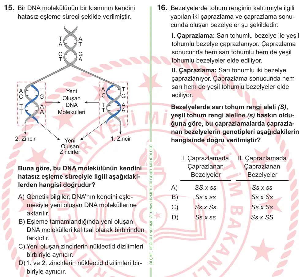 8. Sınıf ve Hazırlık Fen Bilimleri 2025 İOKBS Bursluluk Sınavı 15. Soru görseli